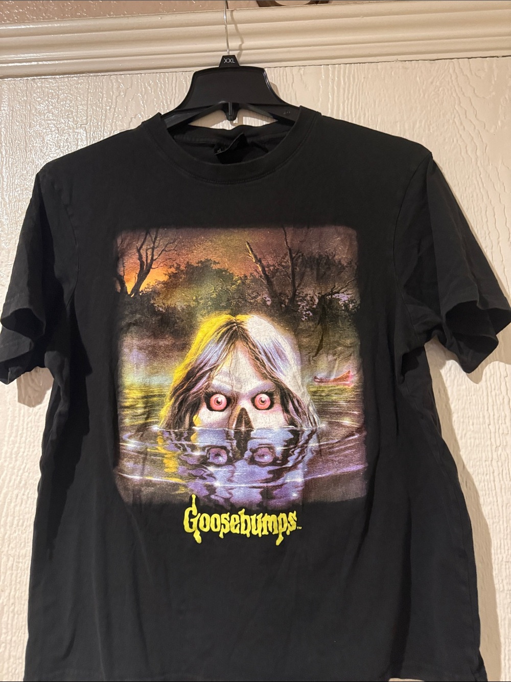 Goosebumps Black Graphic Short Sleeve Tee - Eerie Lake Artwork